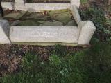 image of grave number 560018